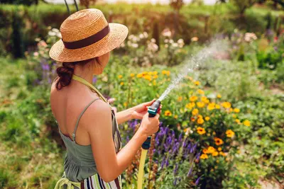 Verkoelende tuintips voor hittegolven: voor jou én je planten
