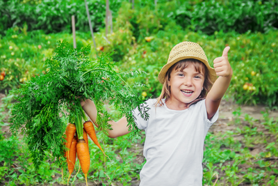 Zomerse moestuintips