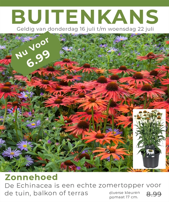 Weekaanbieding